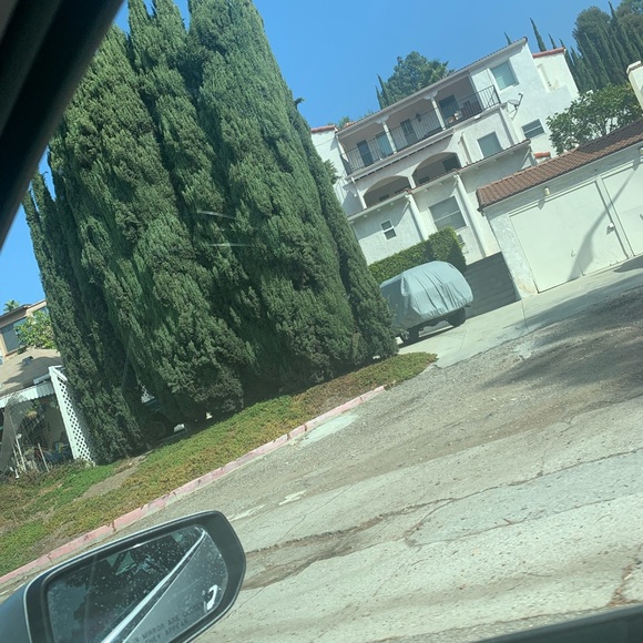 ameerahbond53